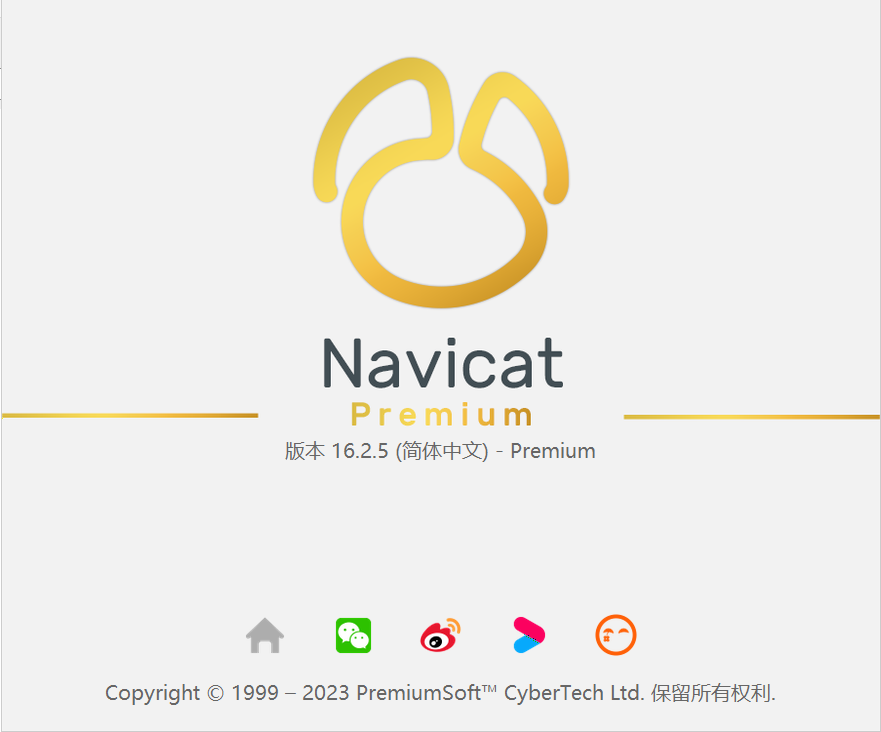 数据库管理工具Navicat premium 16绿色中文版,2.png,数据库管理工具,第1张